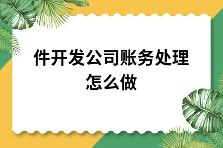 软件开发公司账务处理怎么做